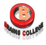 Brains Group Of College